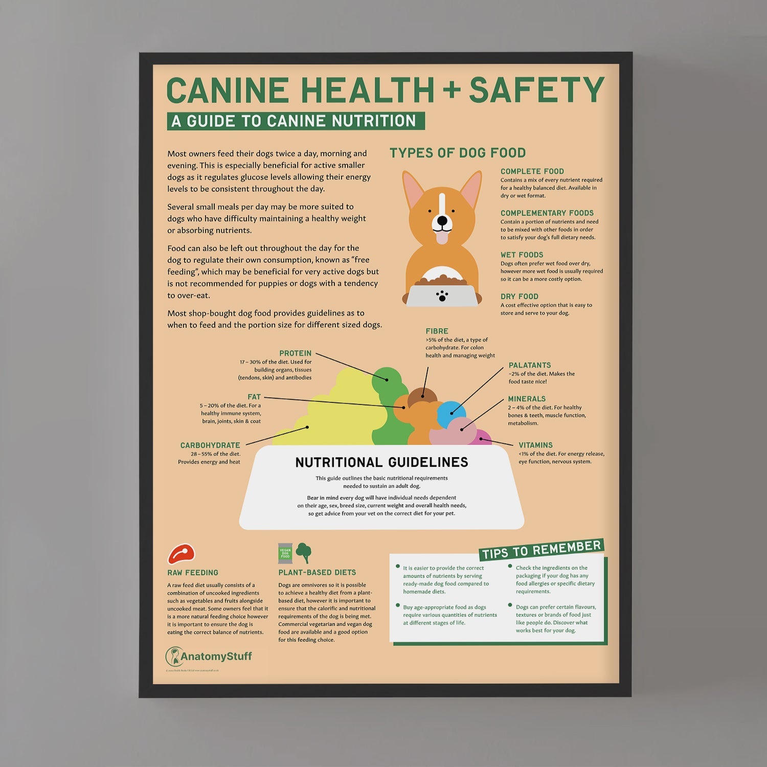 Canine Health & Safety: A Guide to Canine Nutrition Chart / Poster