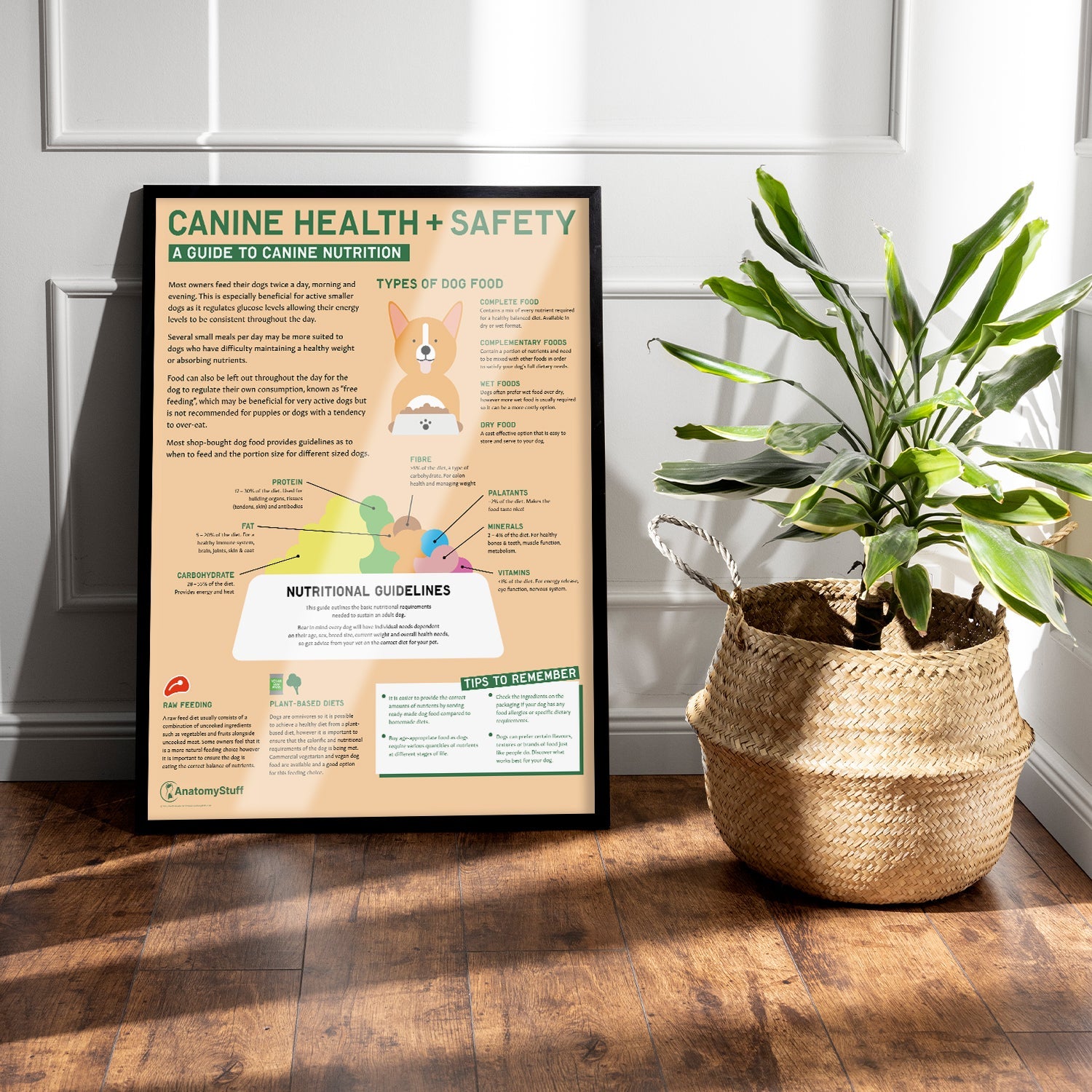 Canine Health & Safety: A Guide to Canine Nutrition Chart / Poster