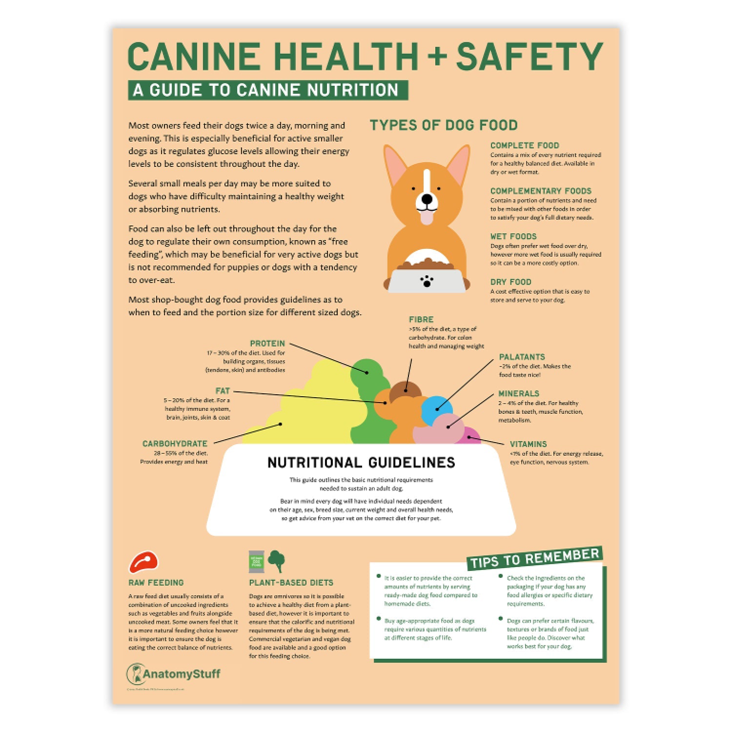 Canine Health & Safety: A Guide to Canine Nutrition Chart / Poster