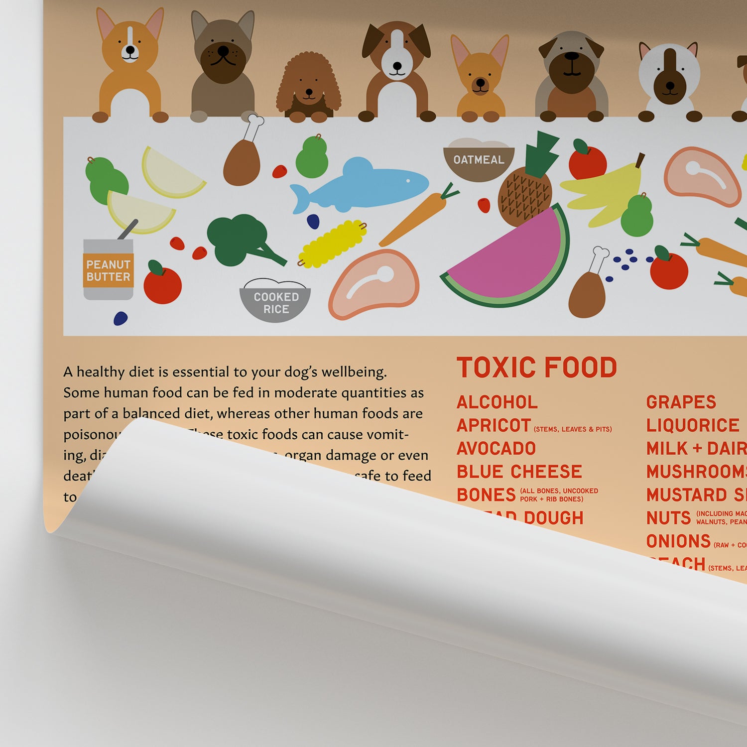 Canine Health & Safety: Toxic and Safe Foods Chart / Poster