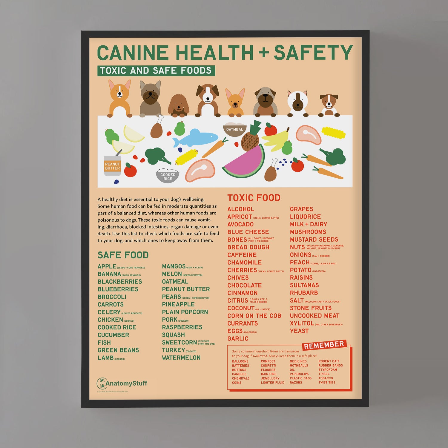 Canine Health & Safety: Toxic and Safe Foods Chart / Poster