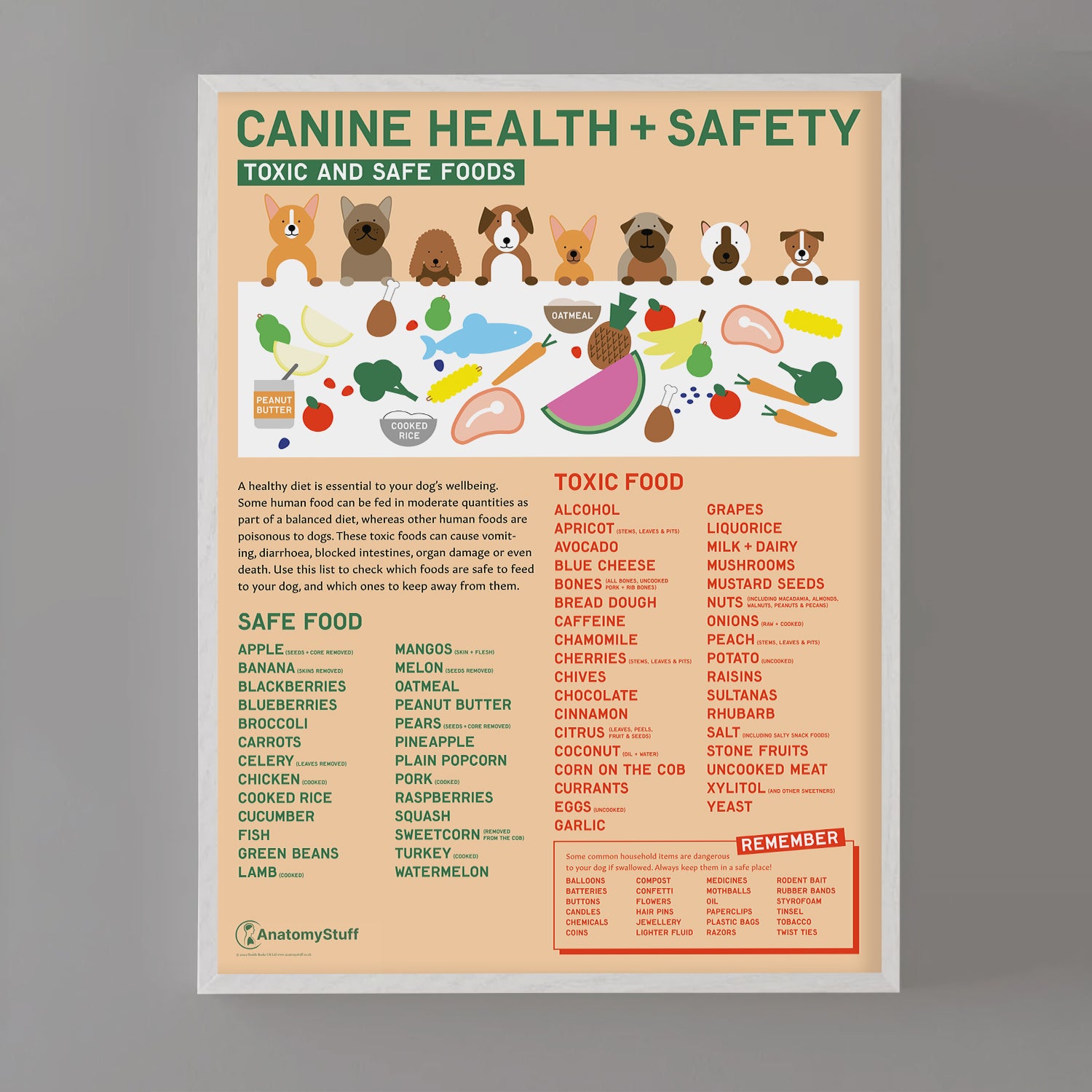 Canine Health & Safety: Toxic and Safe Foods Chart / Poster