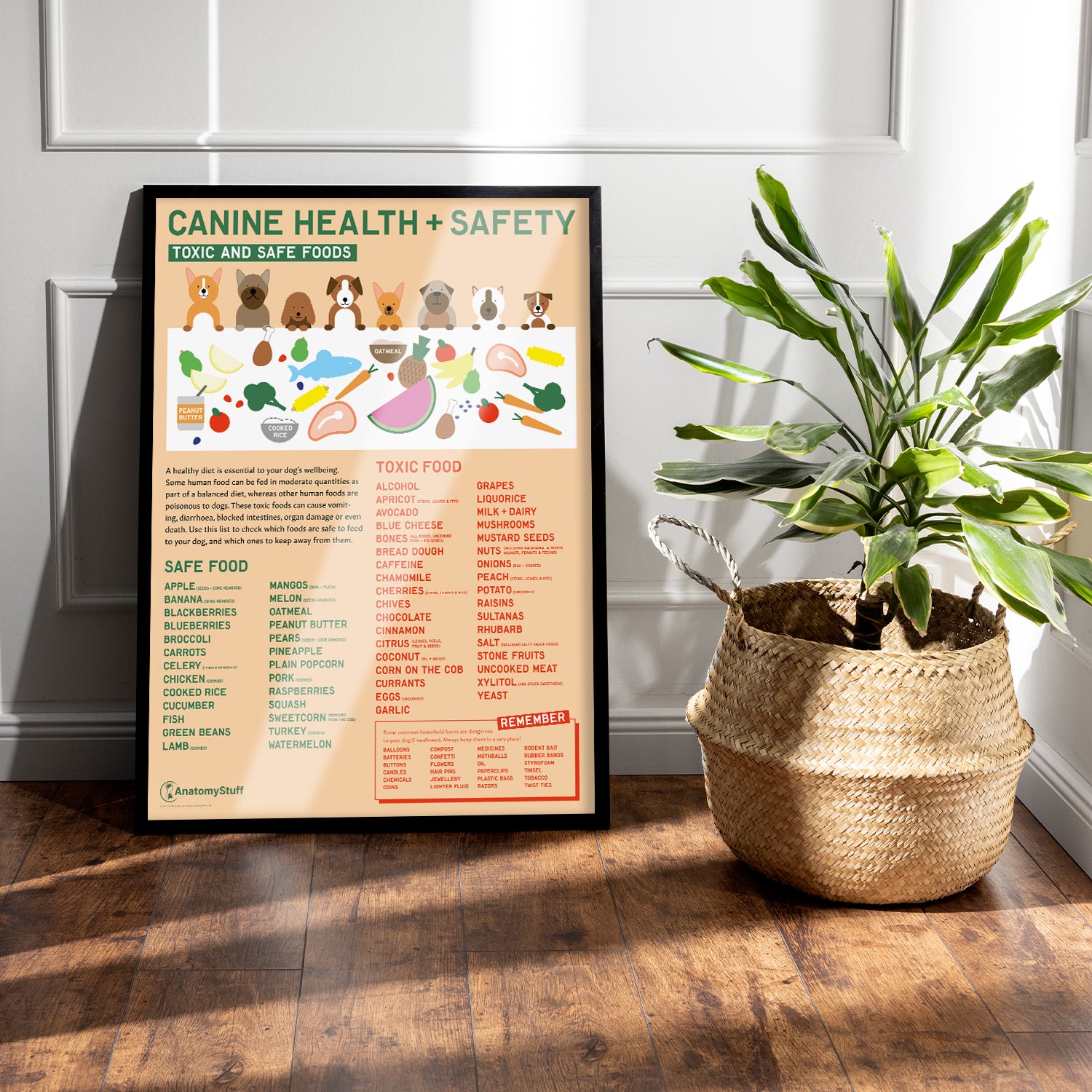 Canine Health & Safety: Toxic and Safe Foods Chart / Poster