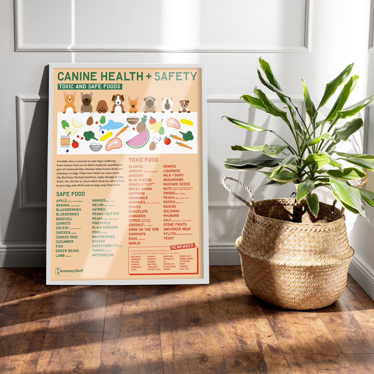Canine Health & Safety: Toxic and Safe Foods Chart / Poster