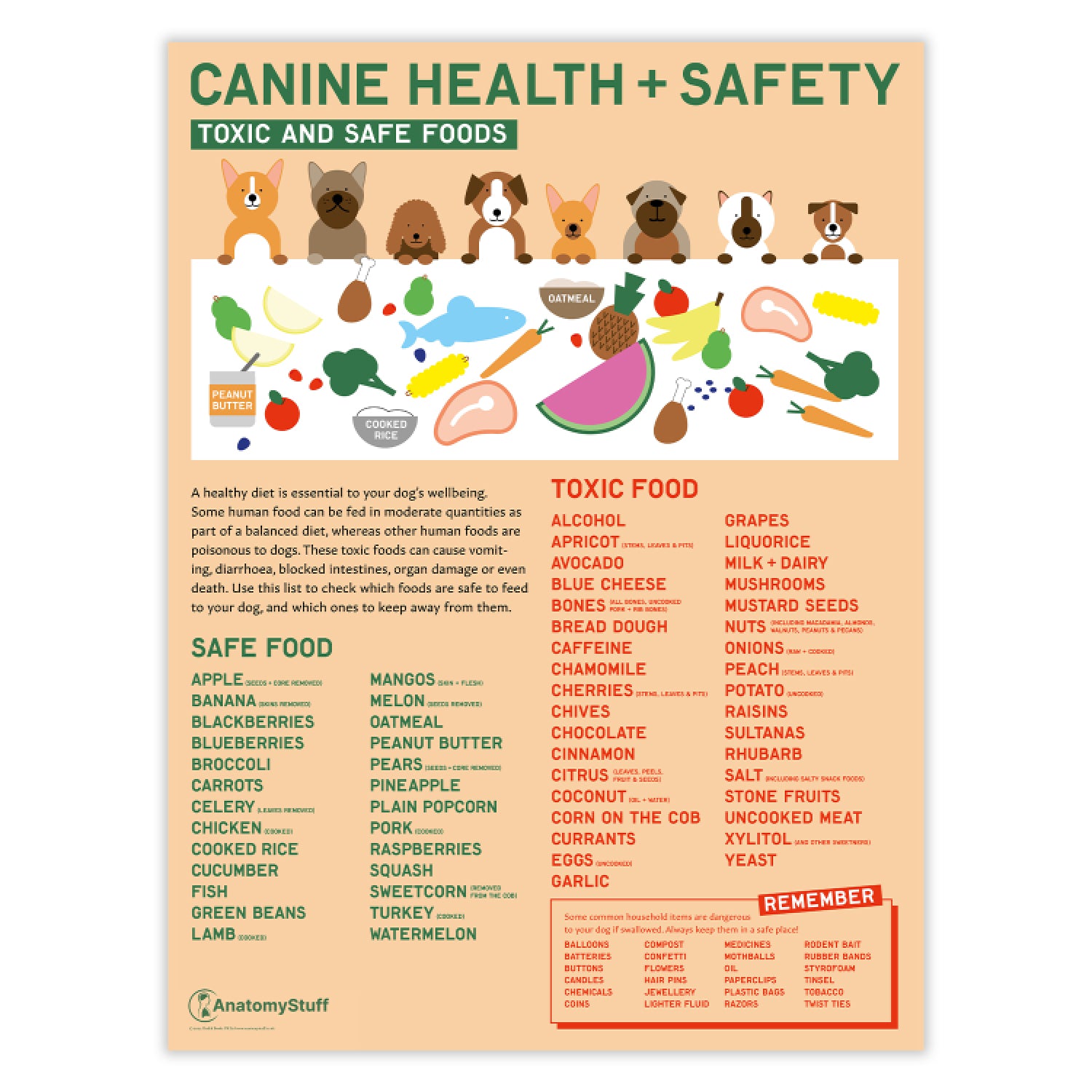 Canine Health & Safety: Toxic and Safe Foods Chart / Poster