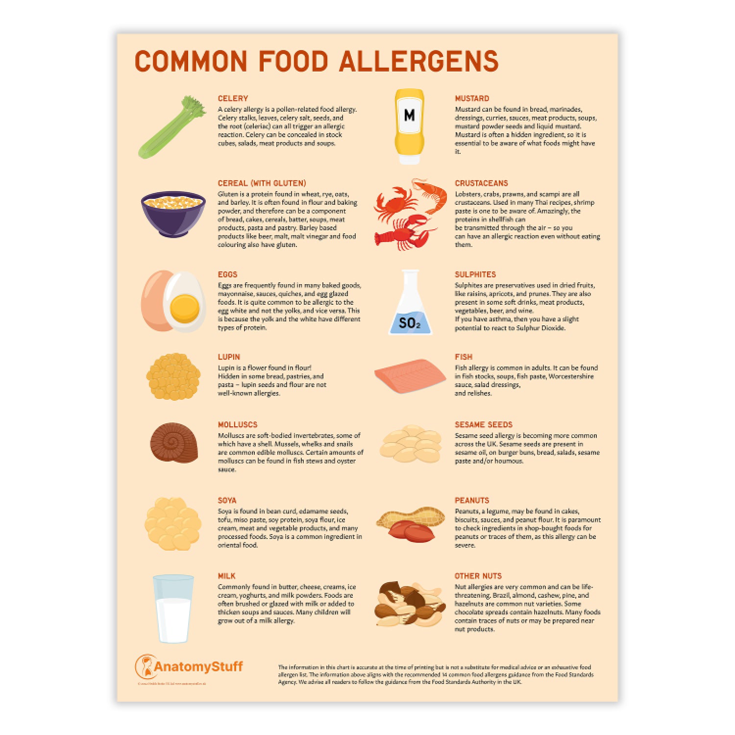 Common Food Allergens Chart / Poster