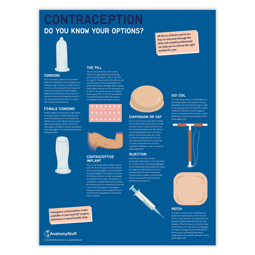 Contraception: Do you know your options? Chart / Poster
