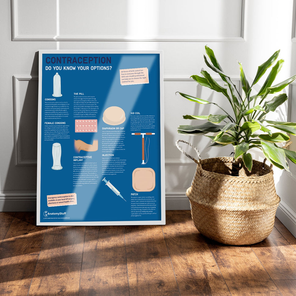 Contraception: Do you know your options? Chart / Poster