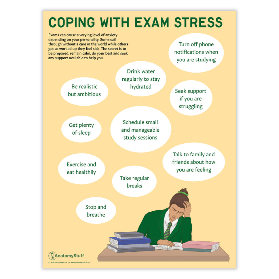 Coping with Exam Stress Chart / Poster