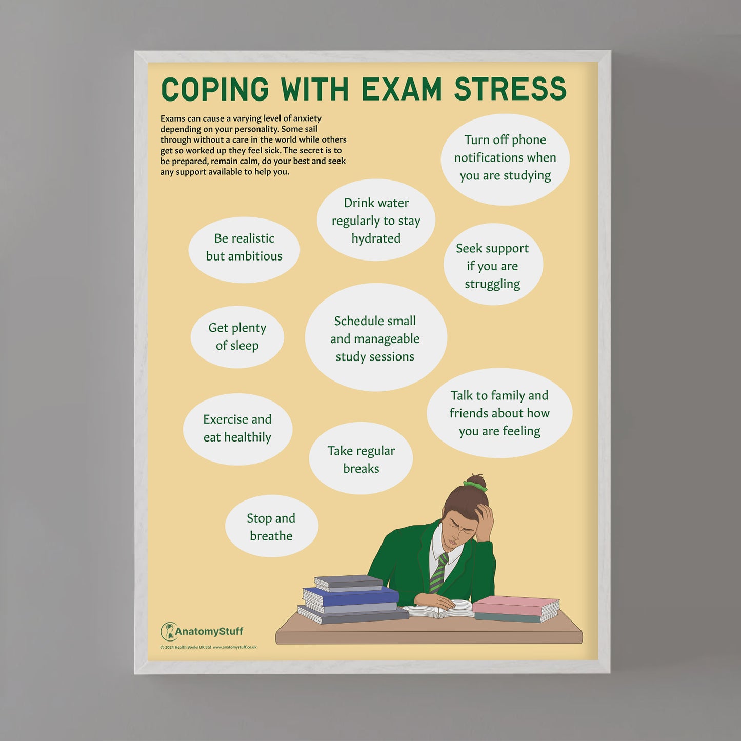 Coping with Exam Stress Chart / Poster