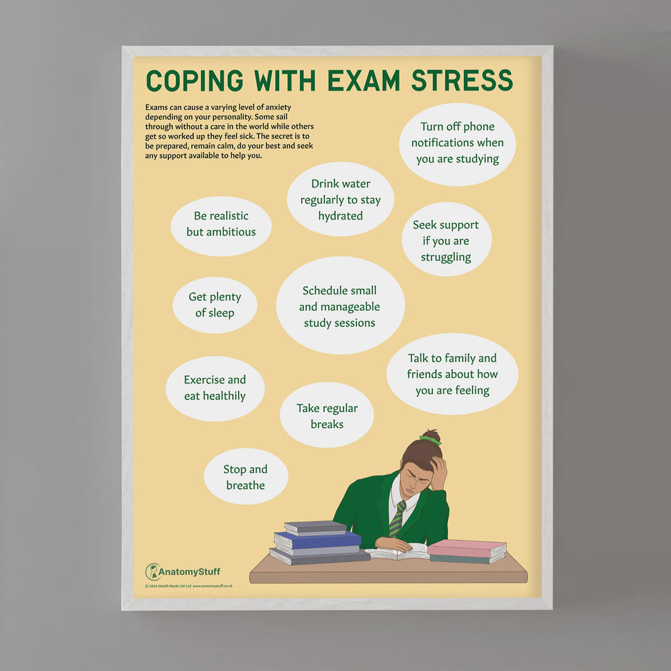 Coping with Exam Stress Chart / Poster