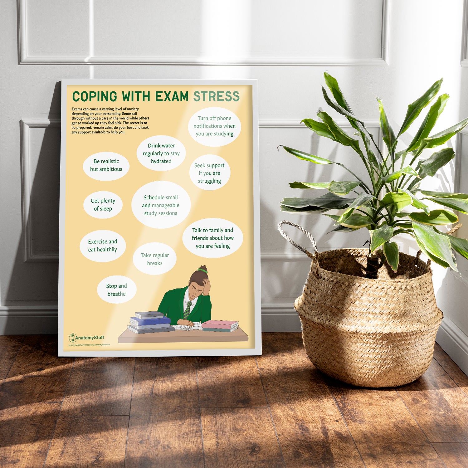 Coping with Exam Stress Chart / Poster