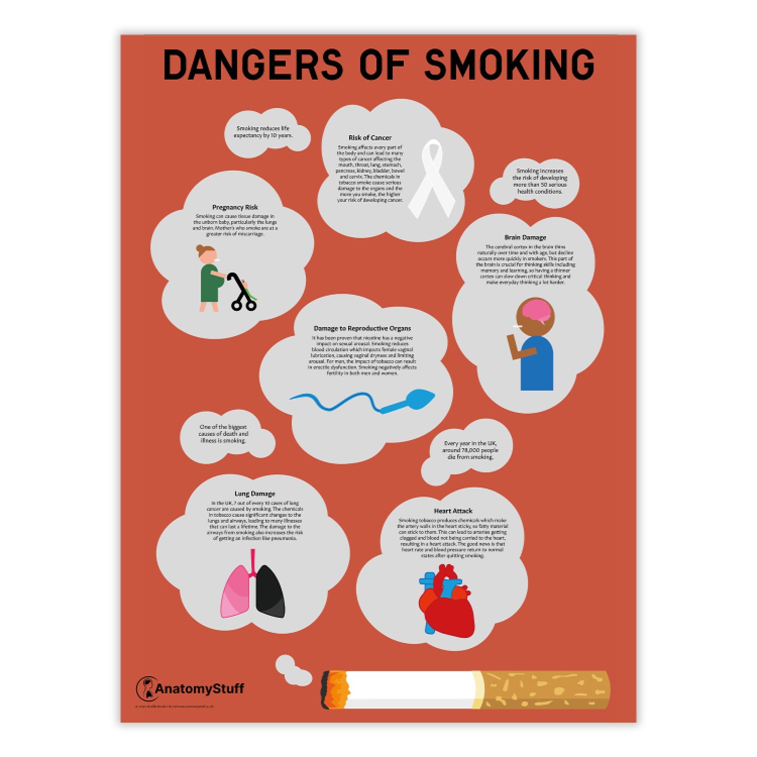 Dangers of Smoking Chart / Poster