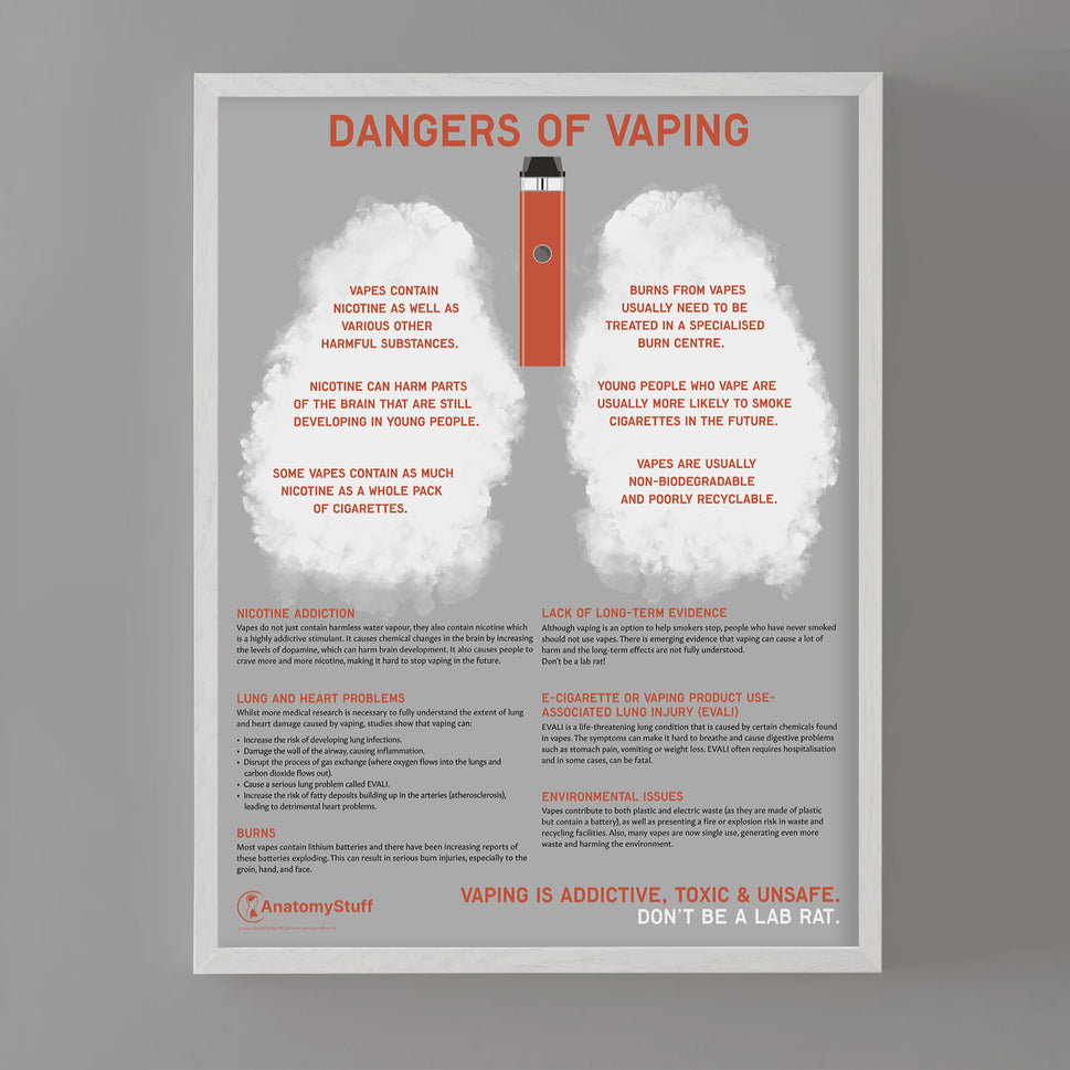 Dangers of Vaping Chart / Poster
