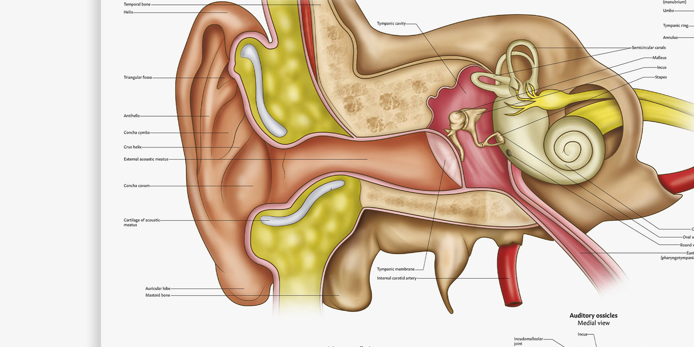 Before/after image 2