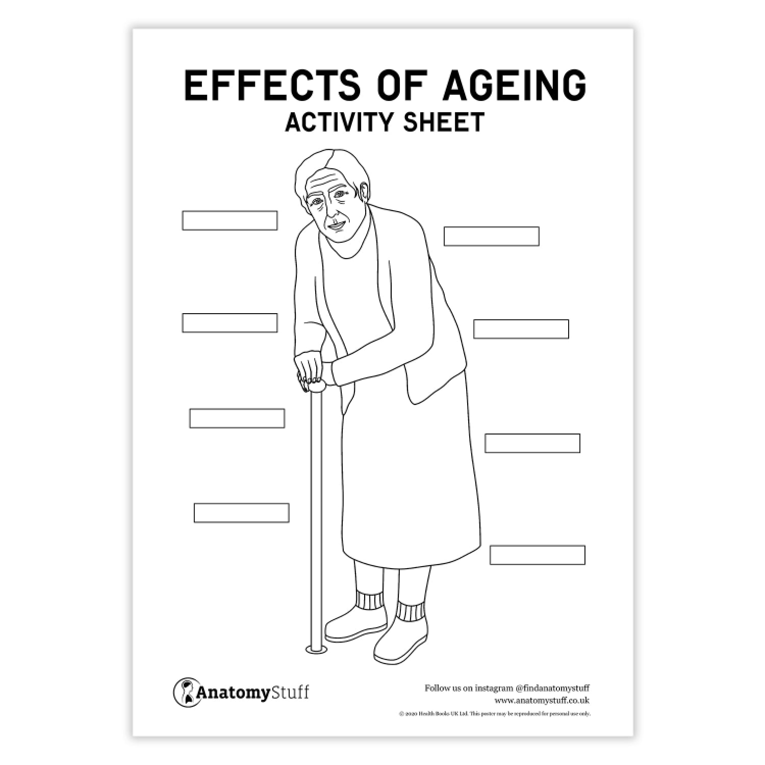 Effects of Ageing Activity Sheet PDF