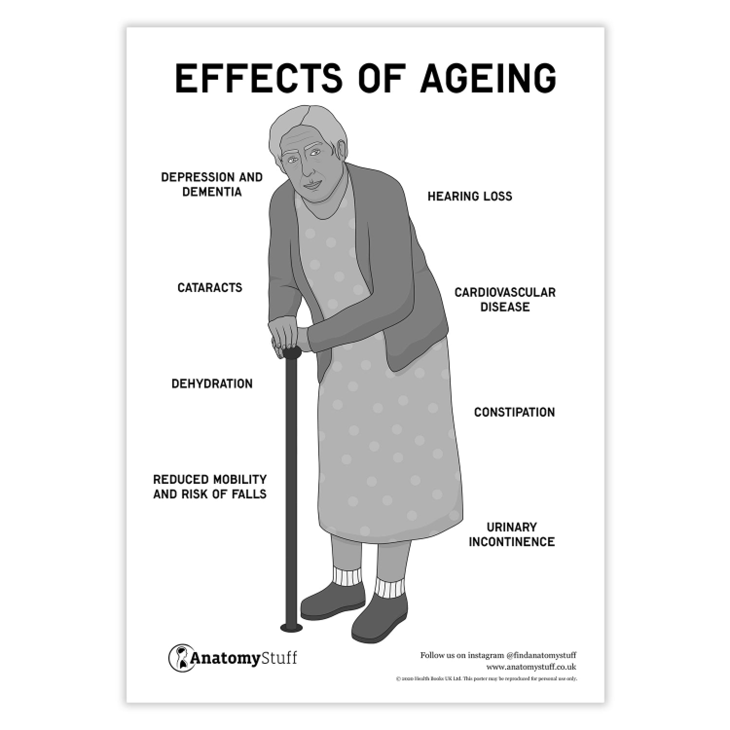 Effects of Ageing Poster PDF