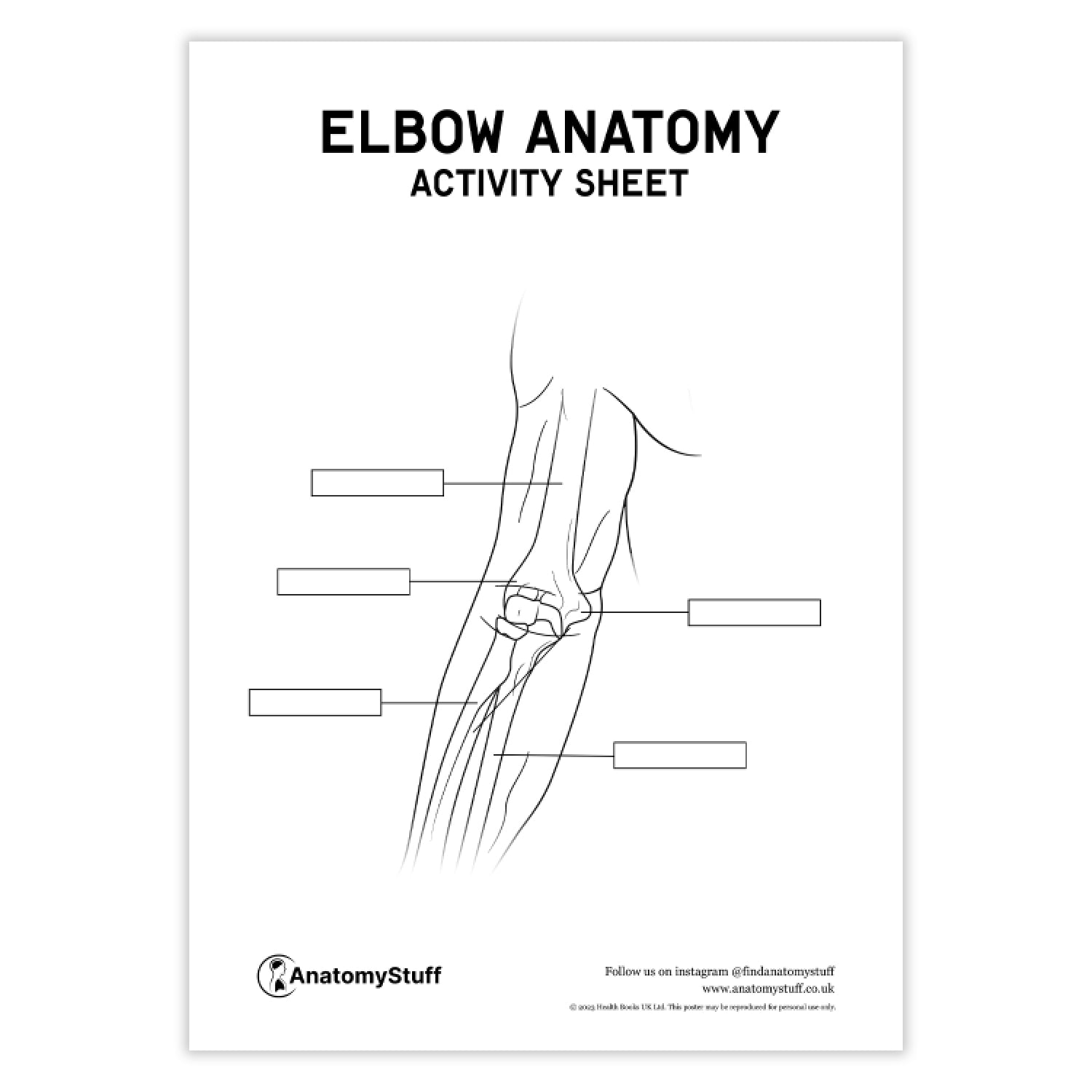 Elbow Anatomy Activity Sheet PDF