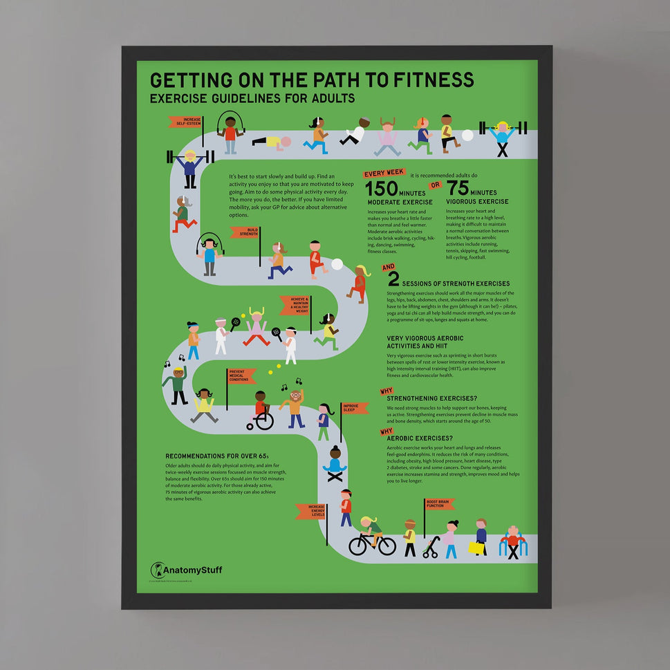 Exercise Guidelines for Adults Chart / Poster