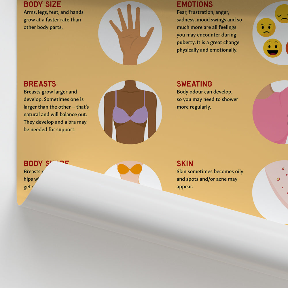 Female Puberty Chart / Poster
