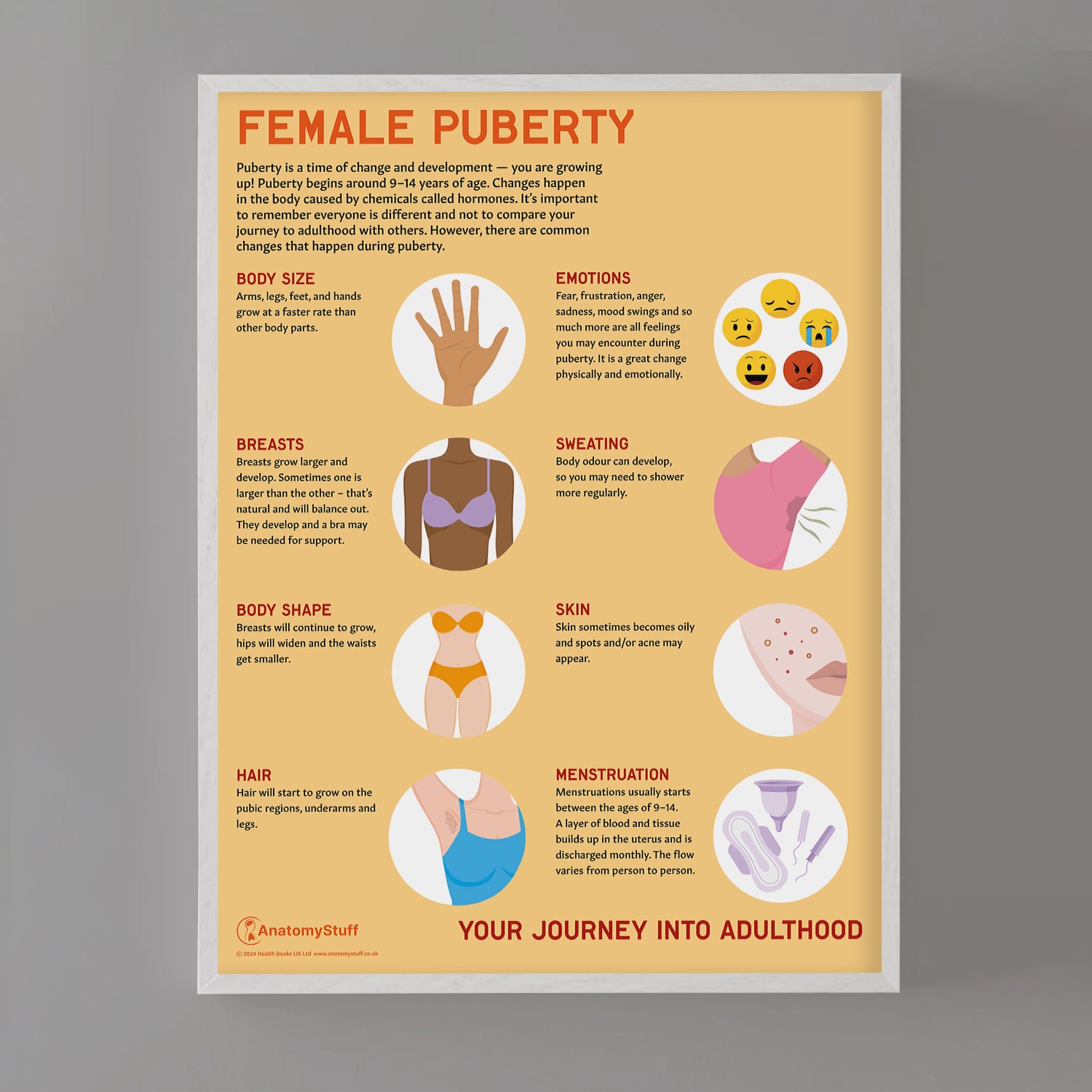 Female Puberty Chart / Poster