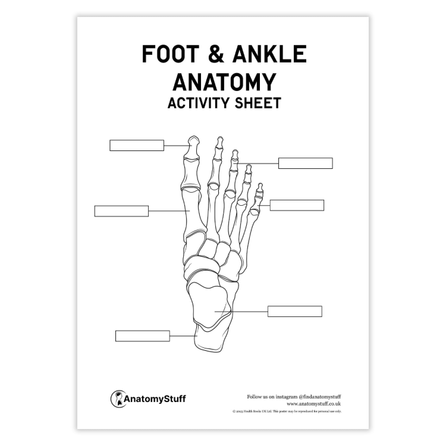 Foot & Ankle Anatomy Activity Sheet PDF