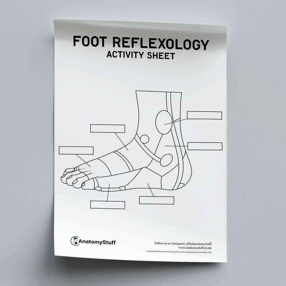 Foot Reflexology Activity Sheet PDF
