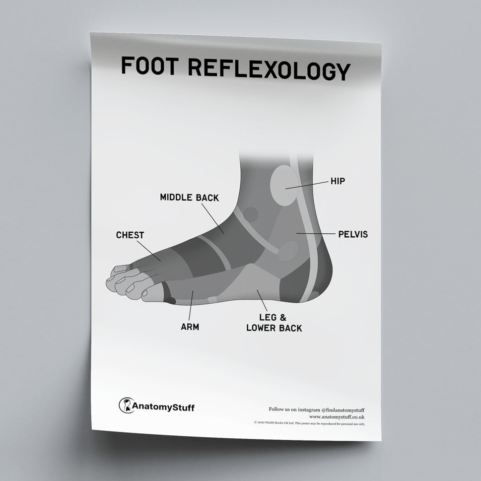 Foot Reflexology Poster PDF