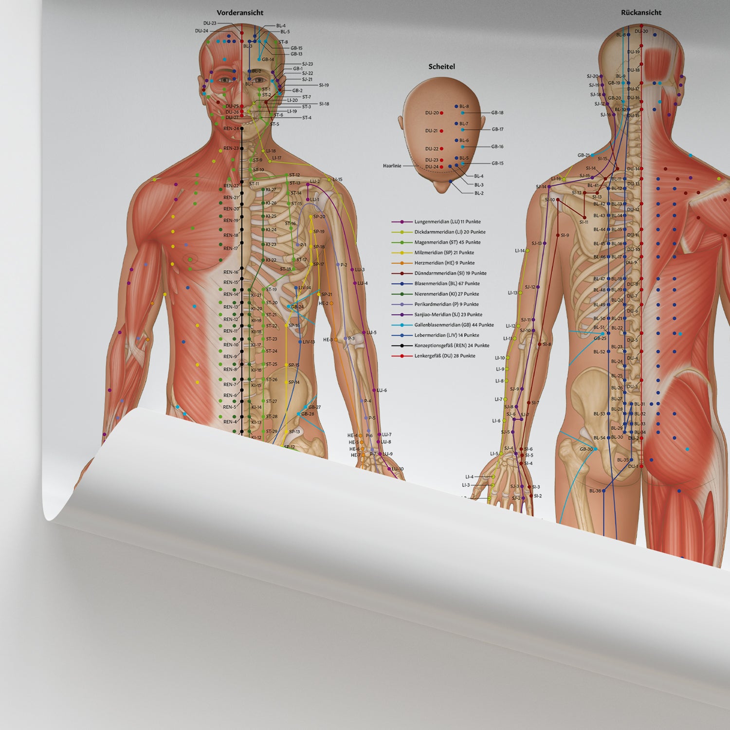 Akupunkturpunkte Chart / Poster - German