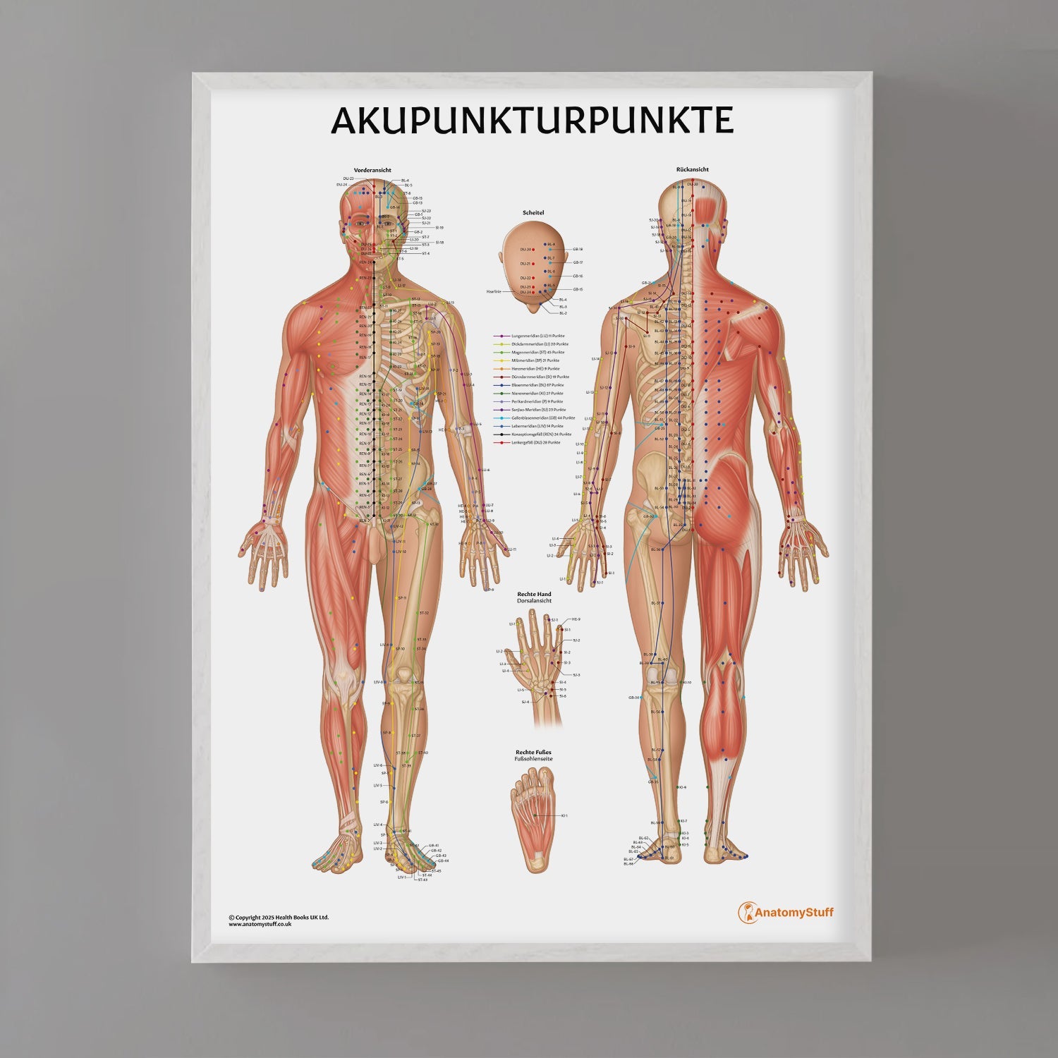 Akupunkturpunkte Chart / Poster - German