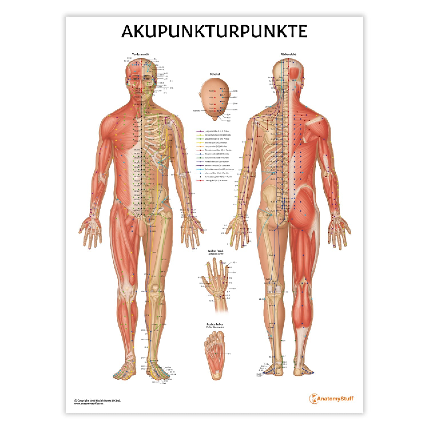 Akupunkturpunkte Chart / Poster - German