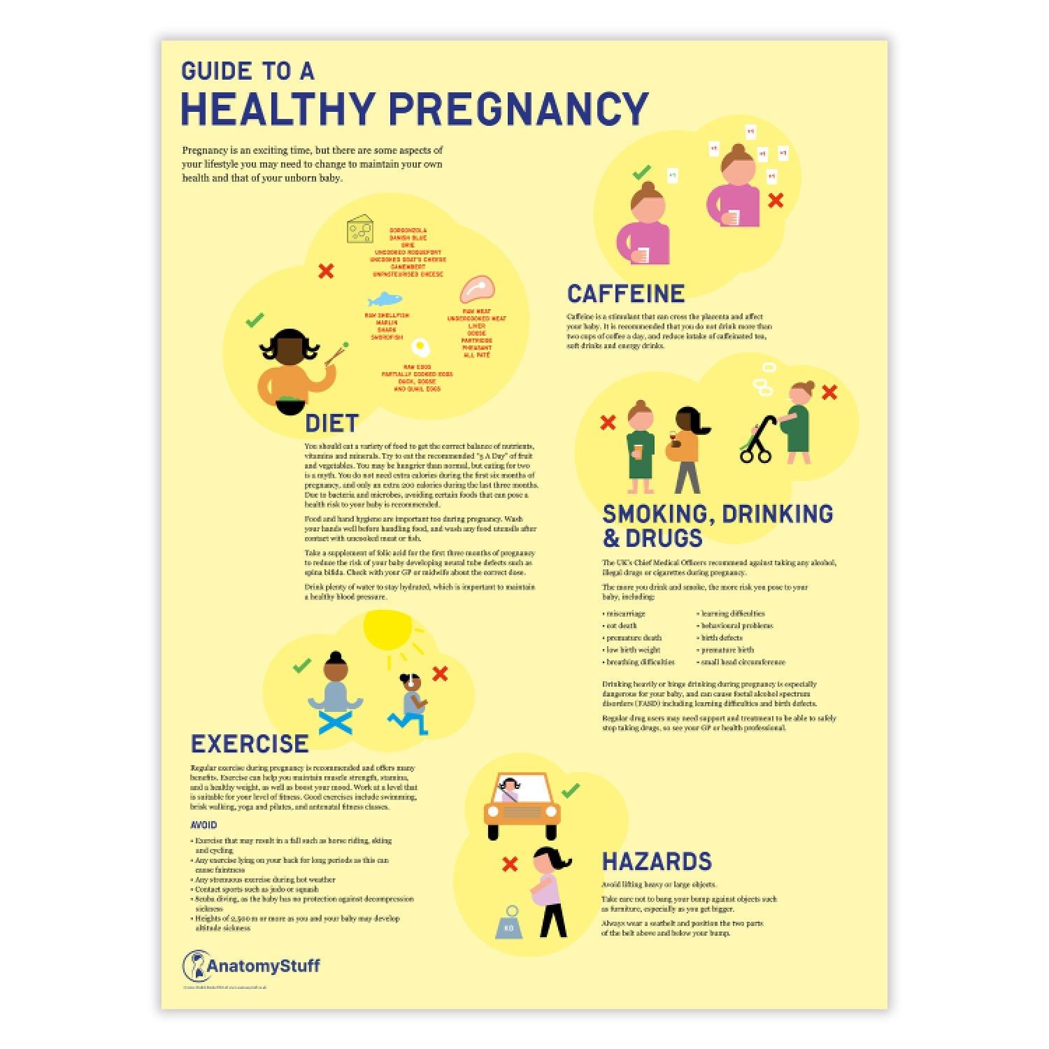 Guide to a Healthy Pregnancy Chart / Poster