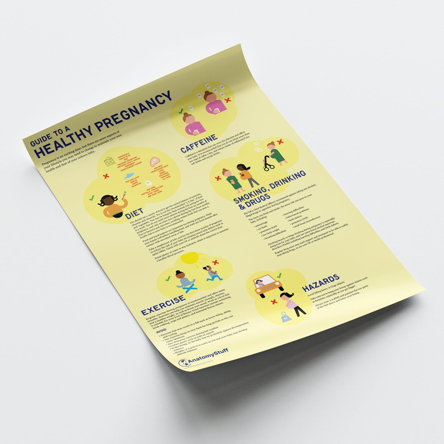 Guide to a Healthy Pregnancy Chart / Poster