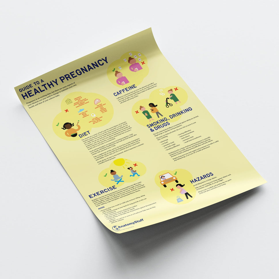 Guide to a Healthy Pregnancy Chart / Poster