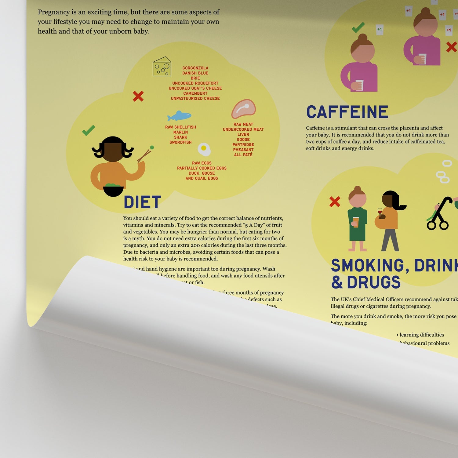 Guide to a Healthy Pregnancy Chart / Poster