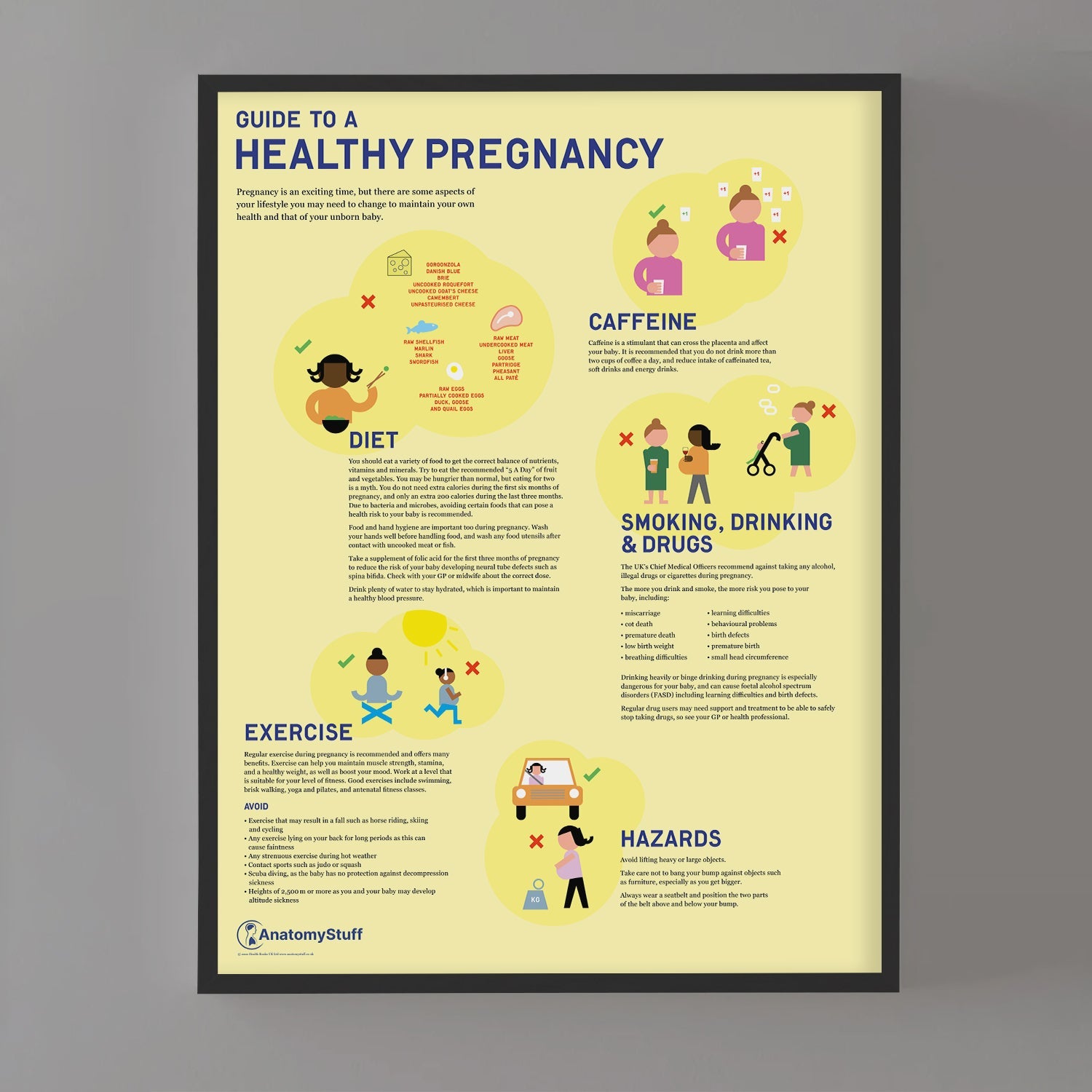 Guide to a Healthy Pregnancy Chart / Poster
