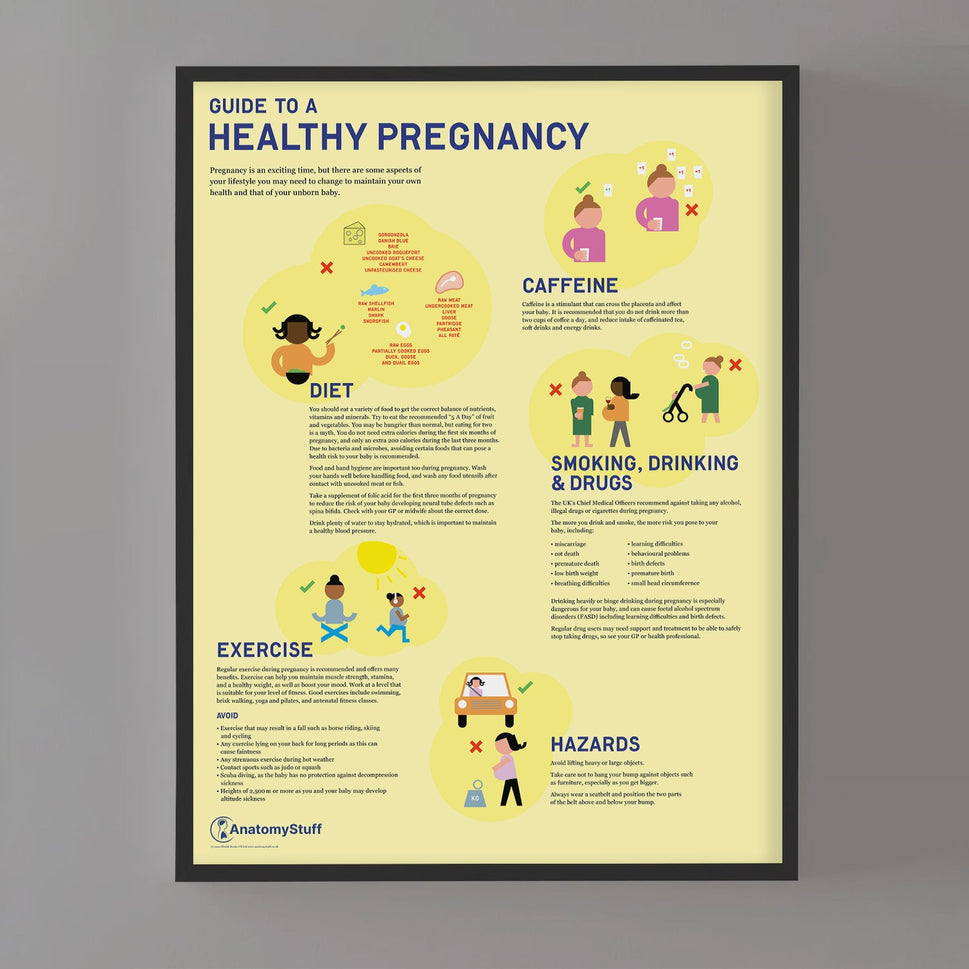 Guide to a Healthy Pregnancy Chart / Poster