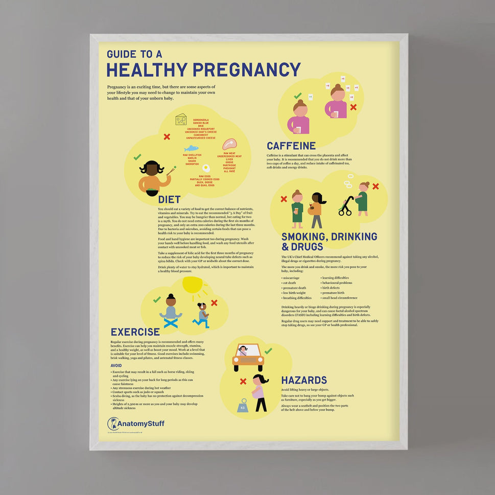 Guide to a Healthy Pregnancy Chart / Poster