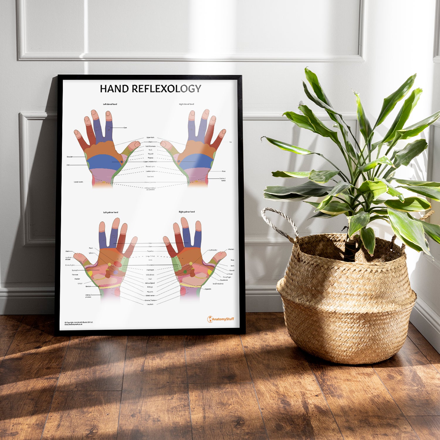 Hand Reflexology Chart / Poster