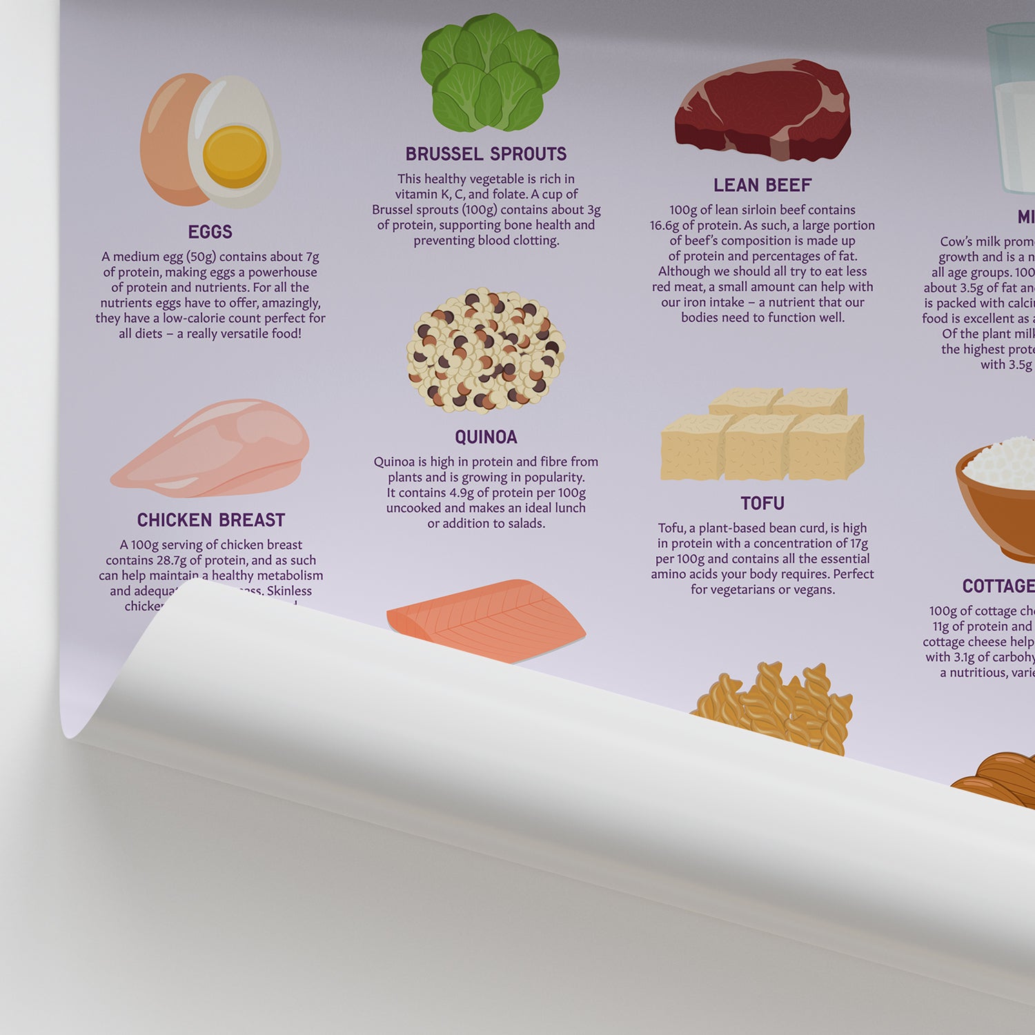 High Protein Foods Chart / Poster