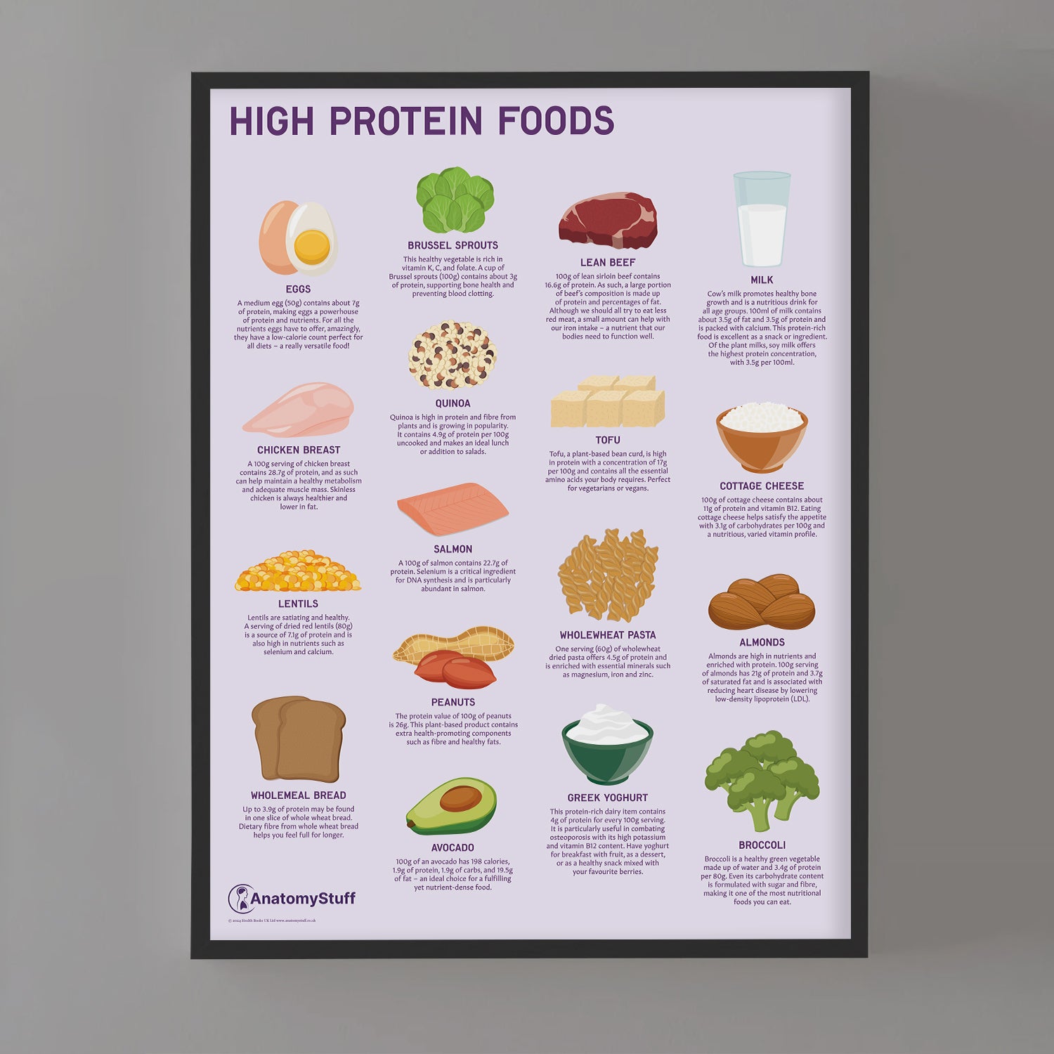 High Protein Foods Chart / Poster