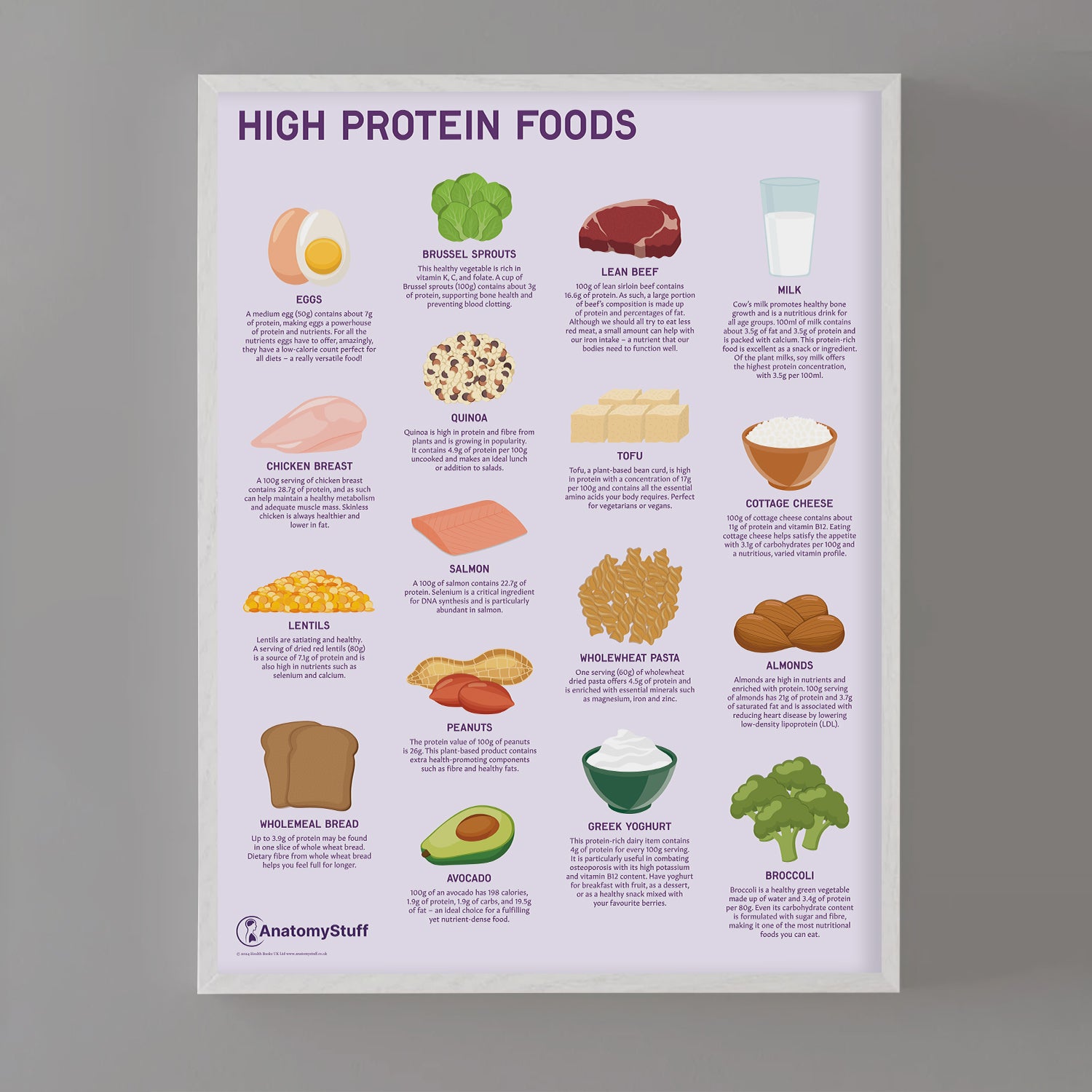 High Protein Foods Chart / Poster