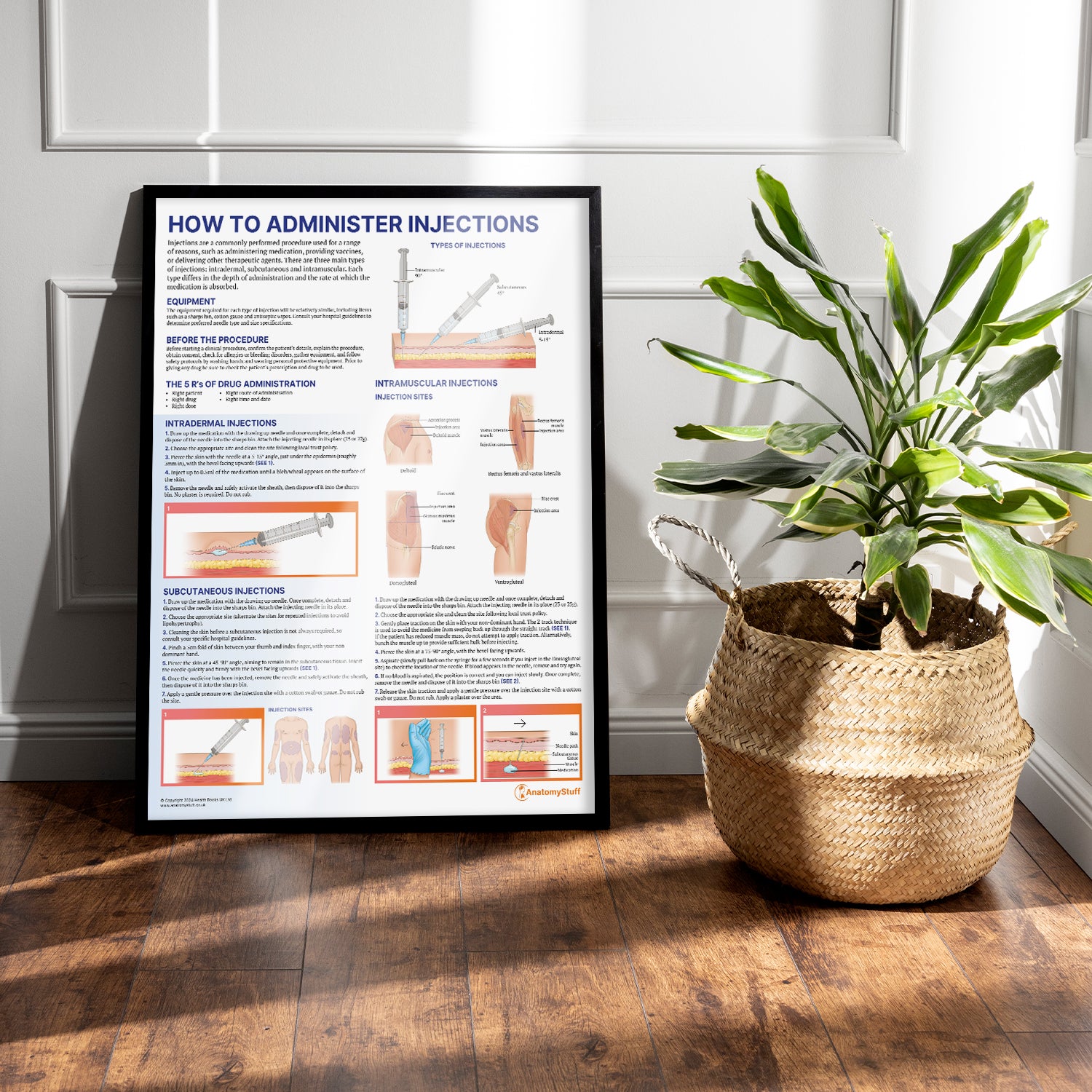 How to Administer Injections Chart / Poster