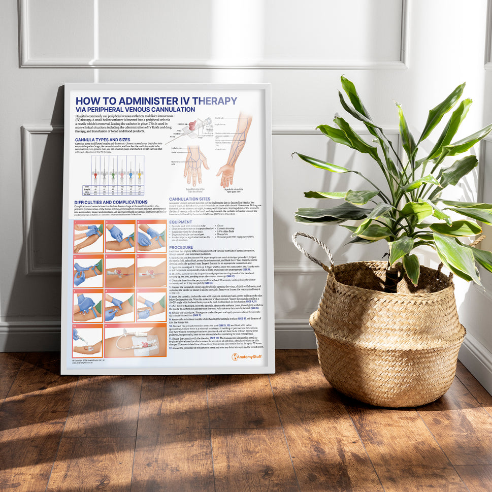 IV Therapy Chart / Poster