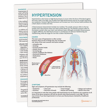 <strong>Hypertension </strong>