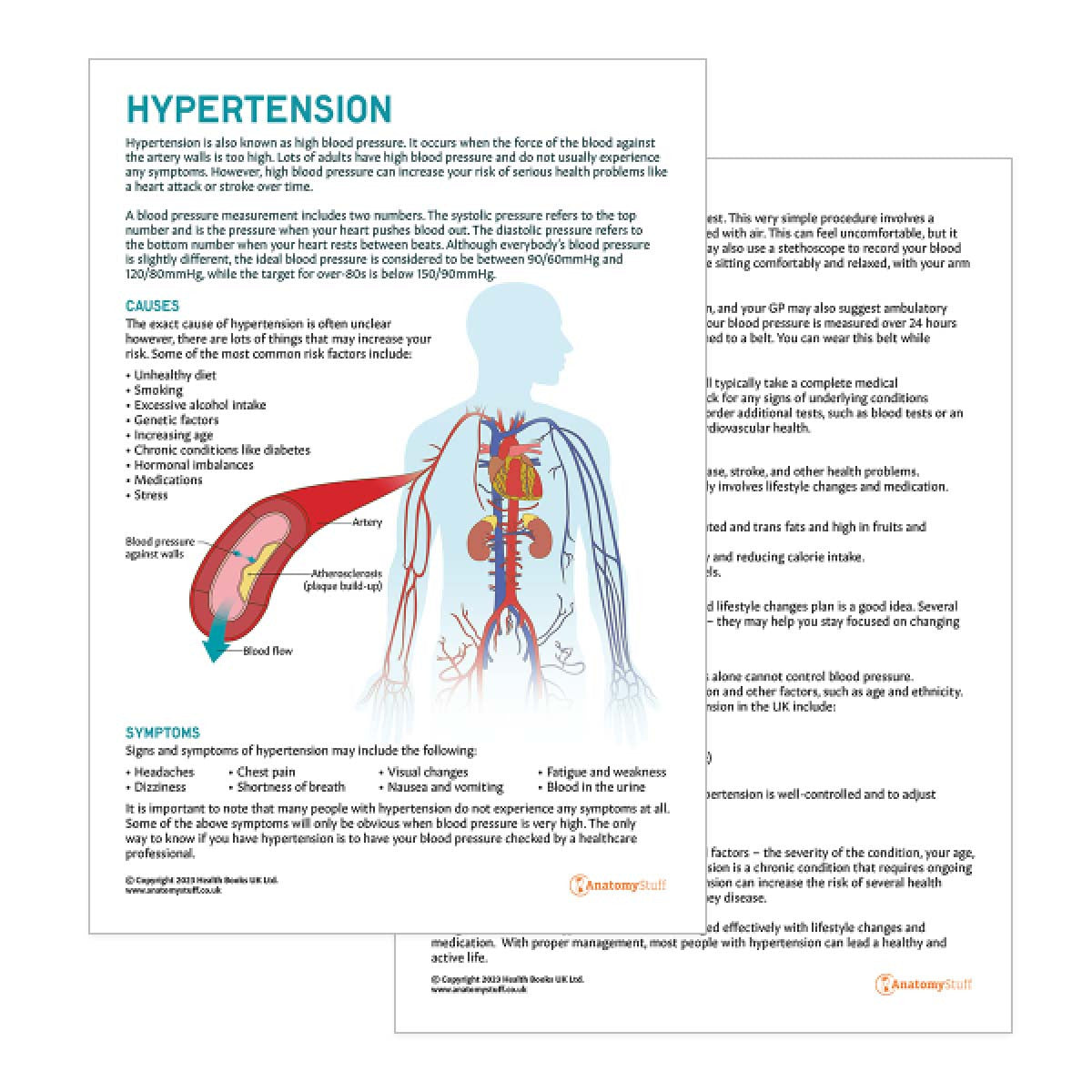 Hypertension Patient Education Handout (Printable PDF)