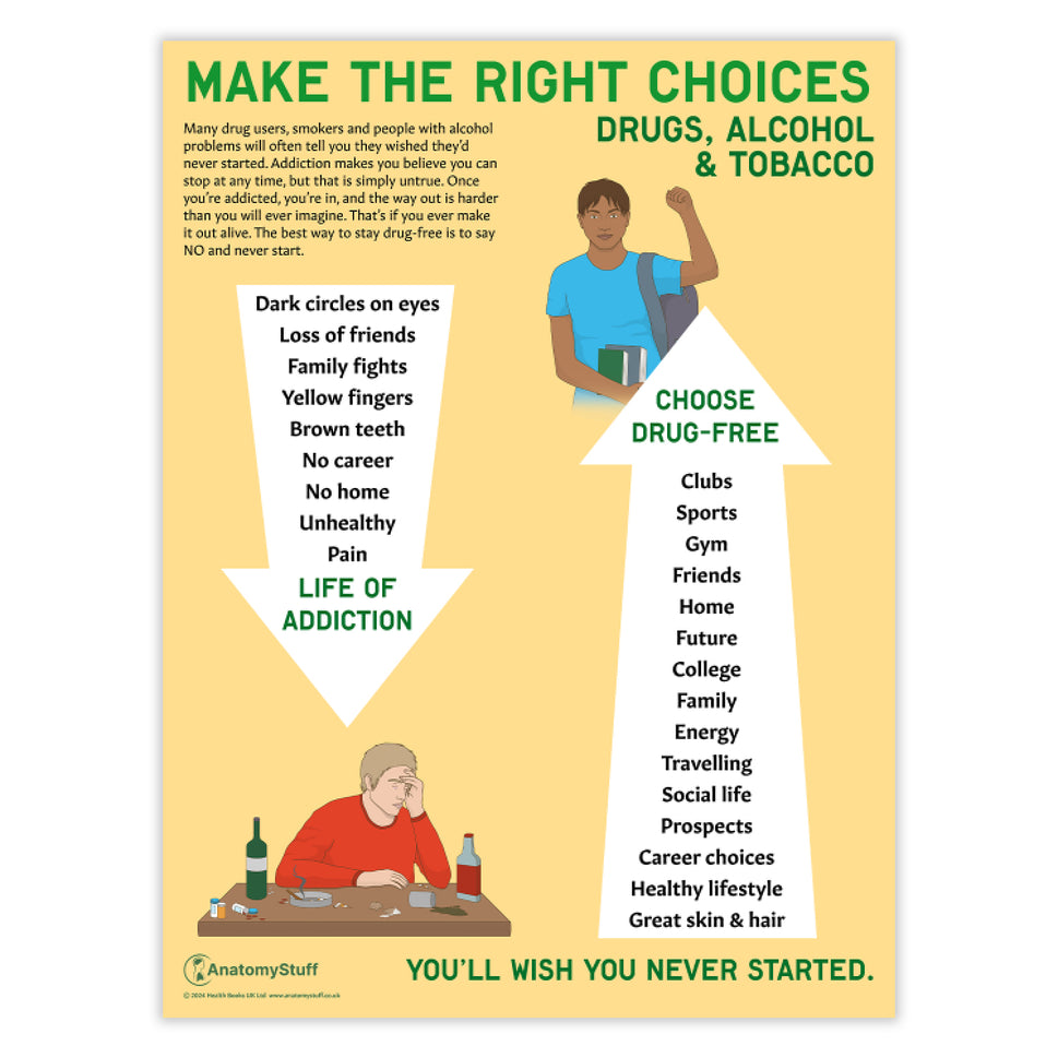 Make the Right Choices Chart / Poster