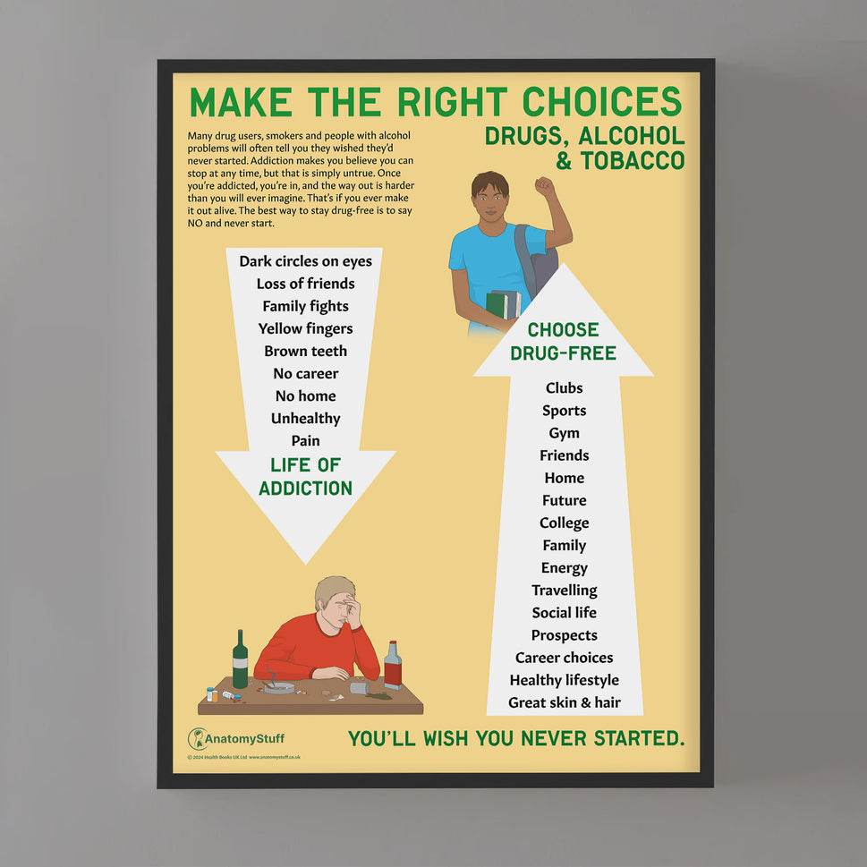 Make the Right Choices Chart / Poster