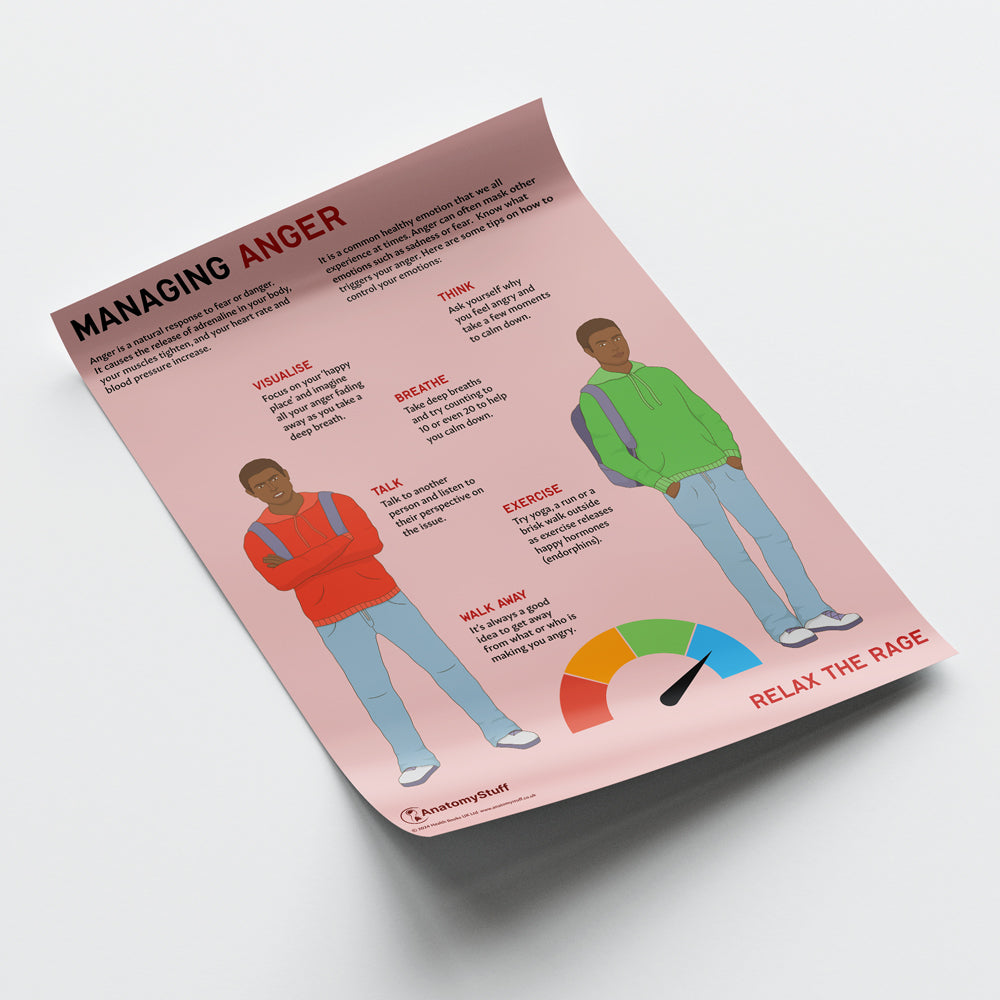 Managing Anger Chart / Poster