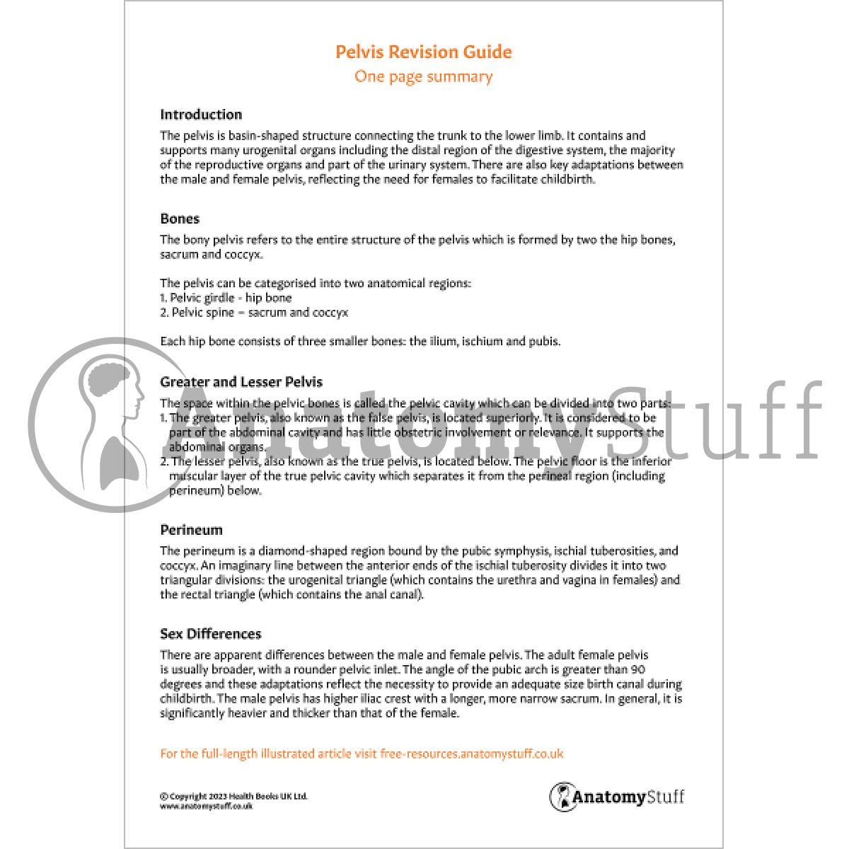 Pelvis Revision Guide (One Page Summary)